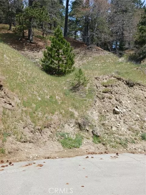 Cedarpines Park, CA 92322,21858 Fern Canyon RD