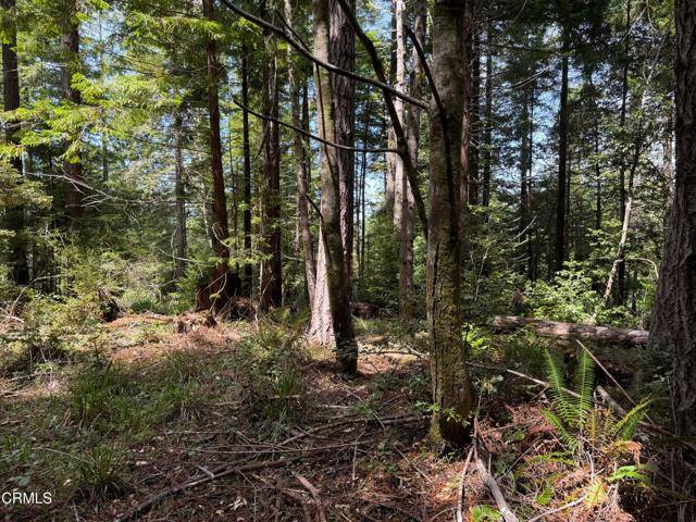 Westport, CA 95488,23501 Branscomb RD
