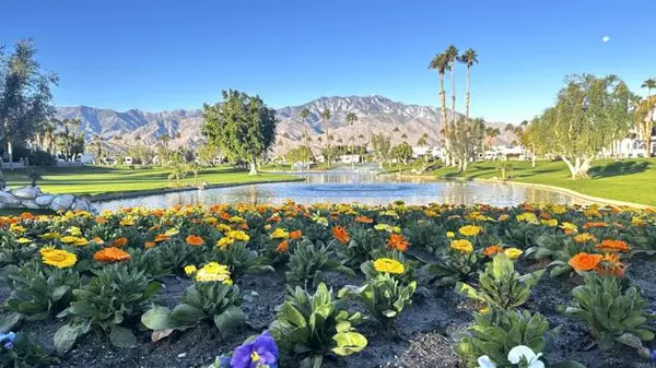 Cathedral City, CA 92234,69411 Ramon Rd #446