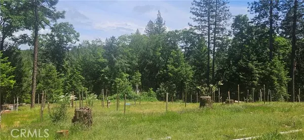 Yankee Hill, CA 95965,0 Little Bend CIR