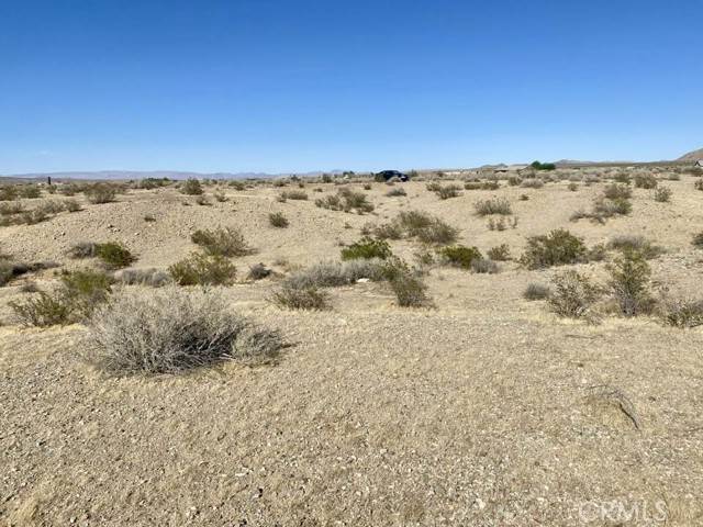 0 -Wrangler RD, Helendale, CA 92342