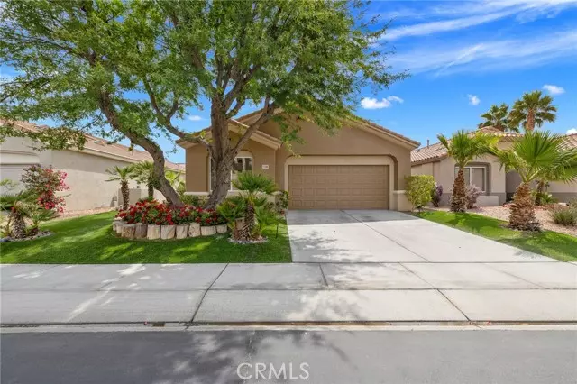 Palm Desert, CA 92211,37388 Medjool