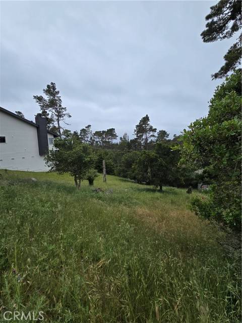 Cambria, CA 93428,0 Pierce AVE