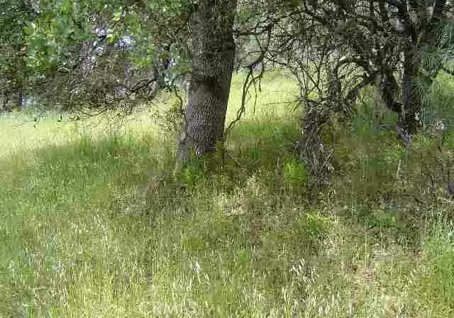 15709 Cache Creek RD, Clearlake Oaks, CA 95423