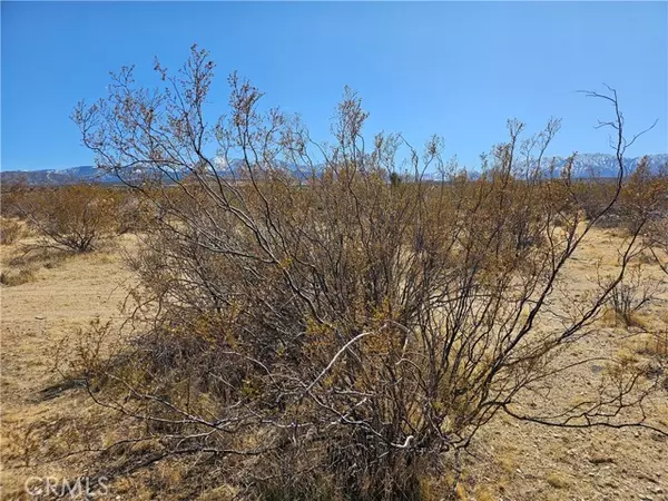 Palmdale, CA 93591,0 Avenue R