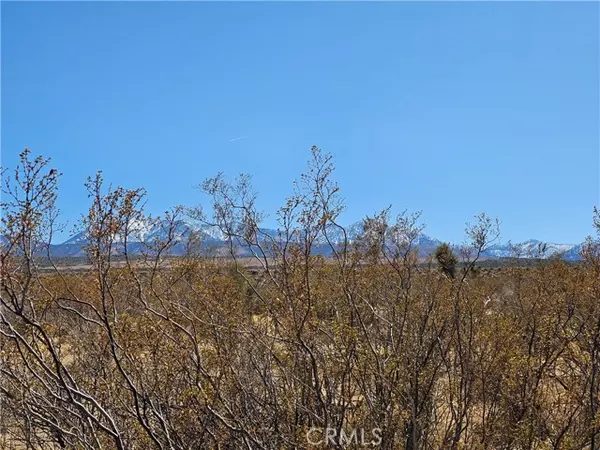 Palmdale, CA 93591,0 Avenue R