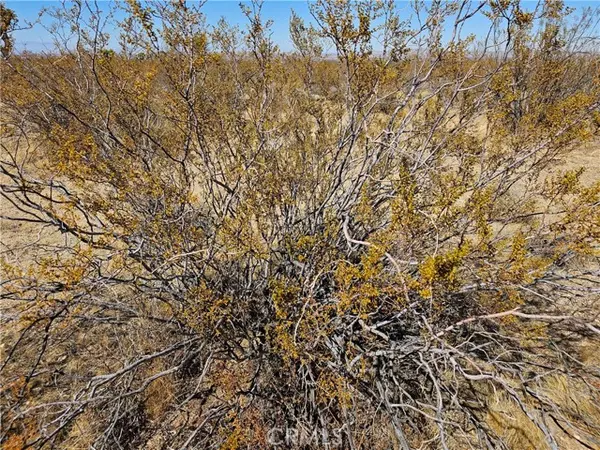 Palmdale, CA 93591,0 Avenue R