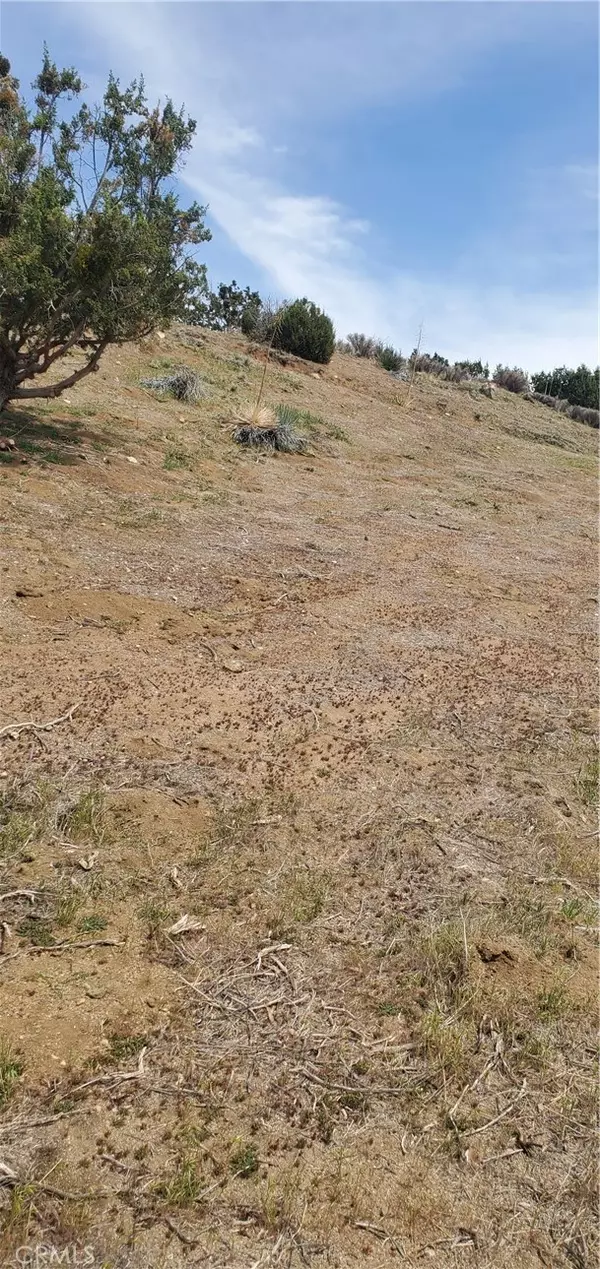 Acton, CA 93550,0 Soledad Pass/Hillside DR