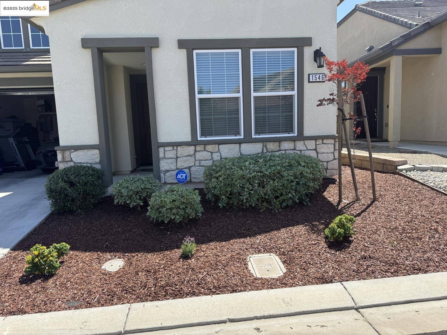 Brentwood, CA 94513,1546 Spumante LN