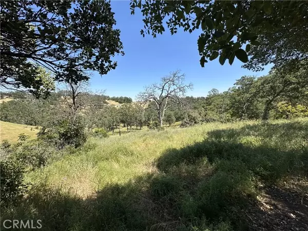 Corning, CA 96021,6920 REMUNDA