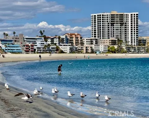 1310 E Ocean BLD 1001, Long Beach, CA 90802