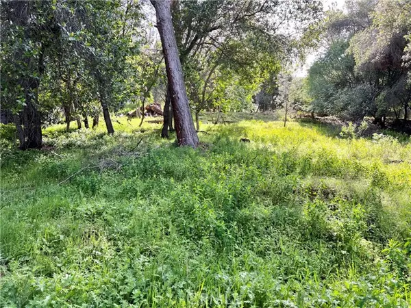 Kelseyville, CA 95451,3356 Southlake CT