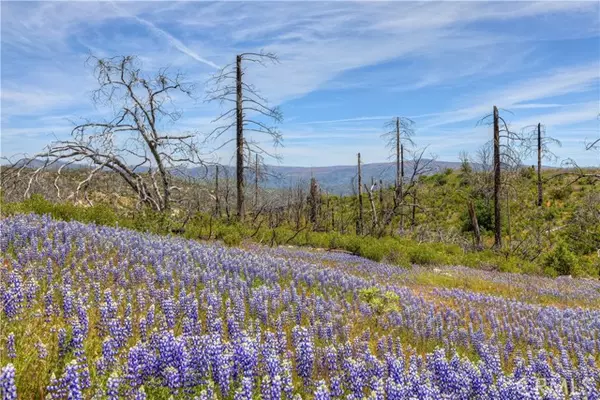 Oroville, CA 95916,0 Harrison Springs RD