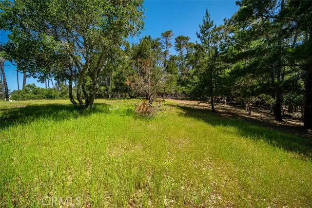 6475 Kathryn DR, Cambria, CA 93428