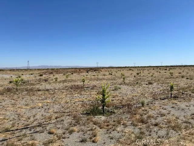 Phelan, CA 92371,14545 Oasis RD