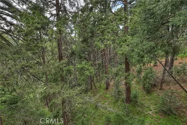 Crestline, CA 92325,23776 Lakeview DR