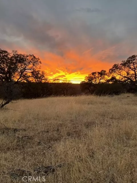 Oroville, CA 95965,1484 Oregon Gulch RD