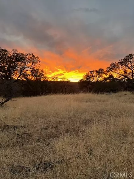 1484 Oregon Gulch RD, Oroville, CA 95965