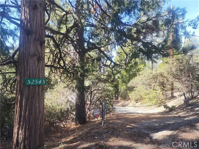 Idyllwild, CA 92549,52547 Pine Cove RD