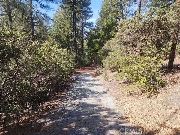 Idyllwild, CA 92549,52547 Pine Cove RD