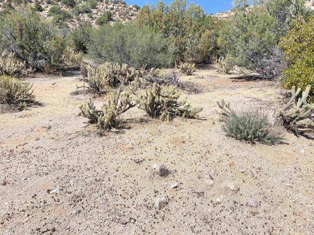 Jacumba, CA 91934,16 .44 Acres Boundary CRK
