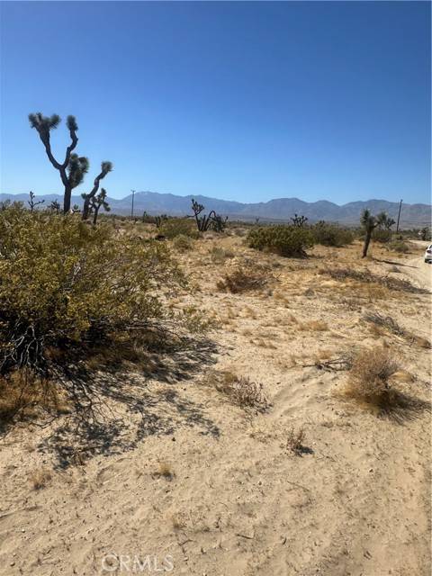 Sun Village, CA 93543,10 east ave S