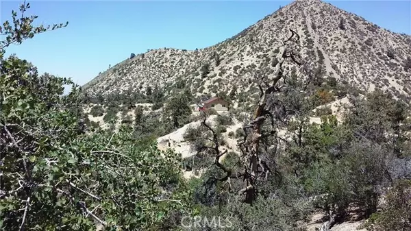 Pinon Hills, CA 92372,0 Desert Front