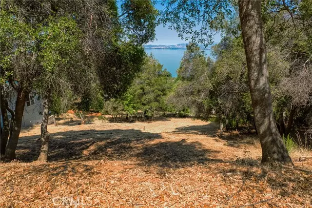 Kelseyville, CA 95451,3167 Skyline DR