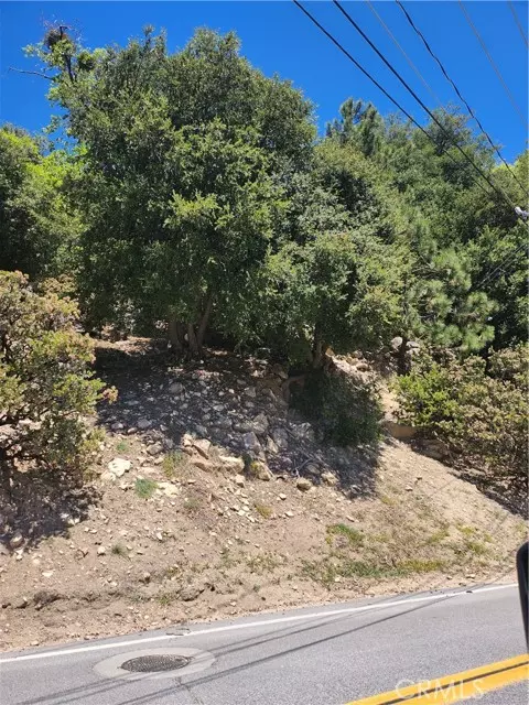 Lake Arrowhead, CA 92352,1187 Brentwood DR