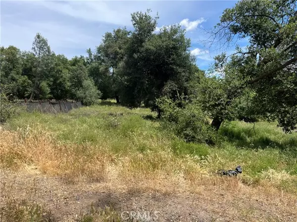 Clearlake, CA 95422,3528 Ukiah ST