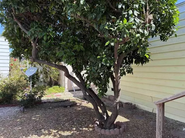 Vista, CA 92081,2130 Sunset DR 99