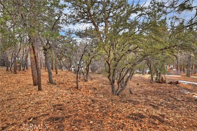 Sugarloaf, CA 92386,0 Wabash LN