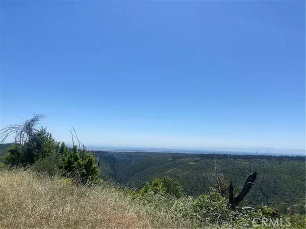 Oroville, CA 95965,3510 Stone Mountain RD