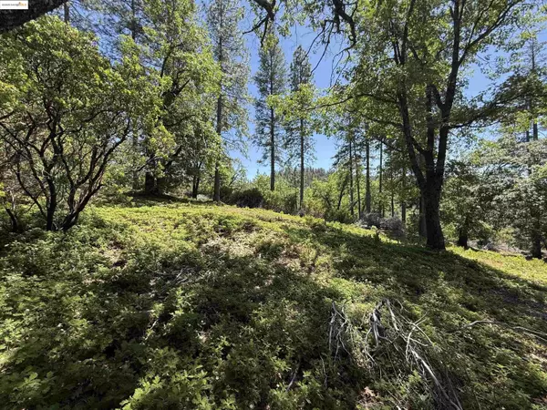 Sonora, CA 95370,0000 Forest Service Road 3N50