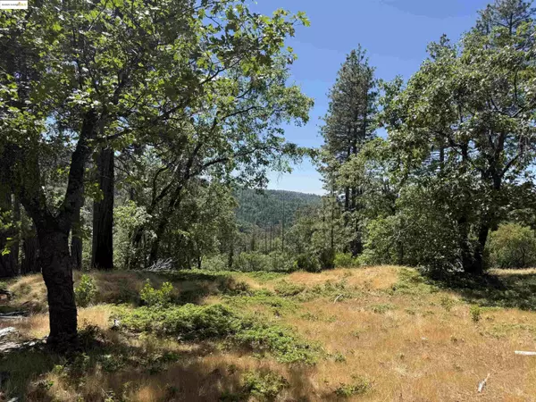 Sonora, CA 95370,0000 Forest Service Road 3N50