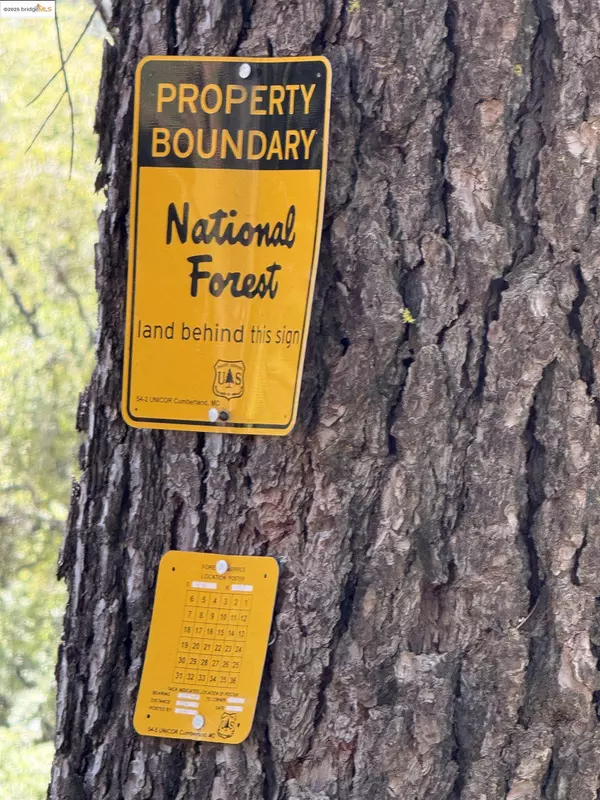 Sonora, CA 95370,0000 Forest Service Road 3N50