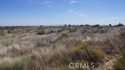 Phelan, CA 92371,4 Wilson Ranch RD