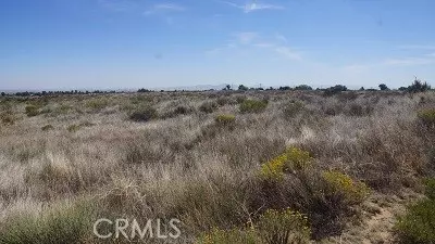 Phelan, CA 92371,4 Wilson Ranch RD