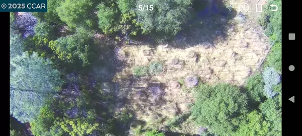 Oroville, CA 95966-8551,254 Elams Ranch RD