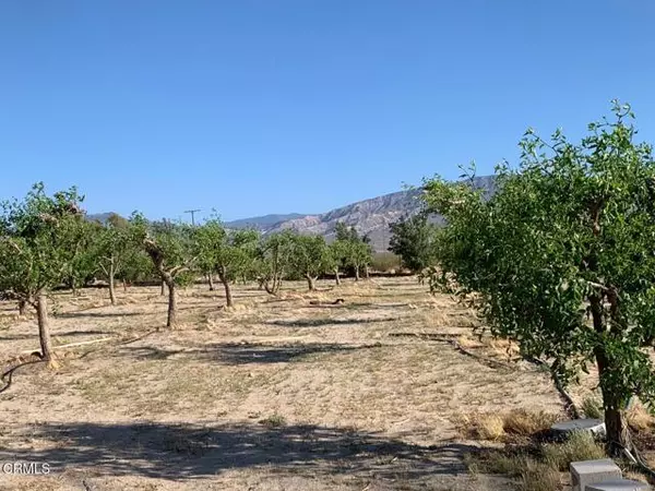 Lucerne Valley, CA 92356,10424 Santa Fe Fire RD