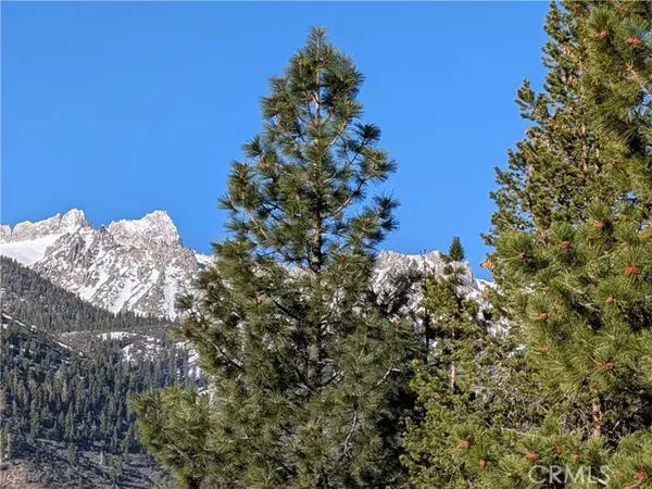 Bridgeport, CA 93517,31 Matterhorn DR