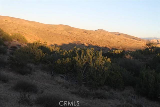 0 Vac/Windrush Rd/Vic Tatina LN, Agua Dulce, CA 91390