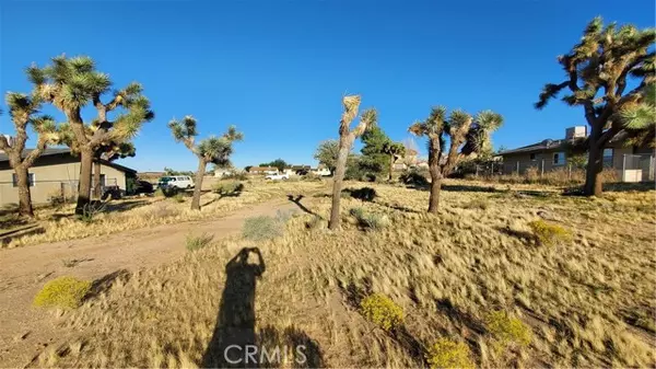 Yucca Valley, CA 92284,0 Palo Alto AVE