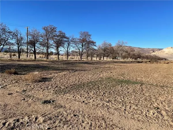 Tehachapi, CA 93561,20028 Tehachapi Willow Springs Rd