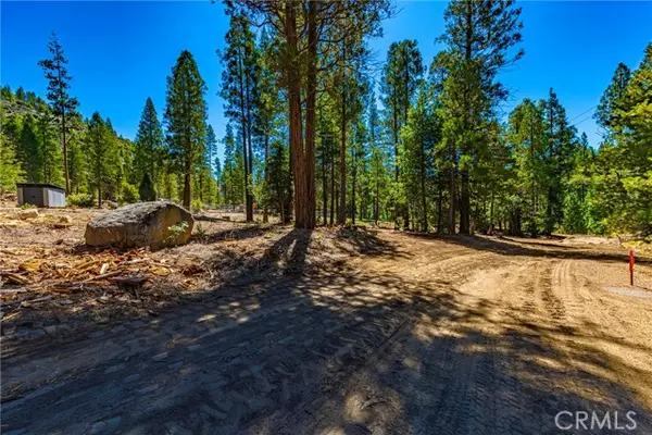 Wawona, CA 95389,0 River ST