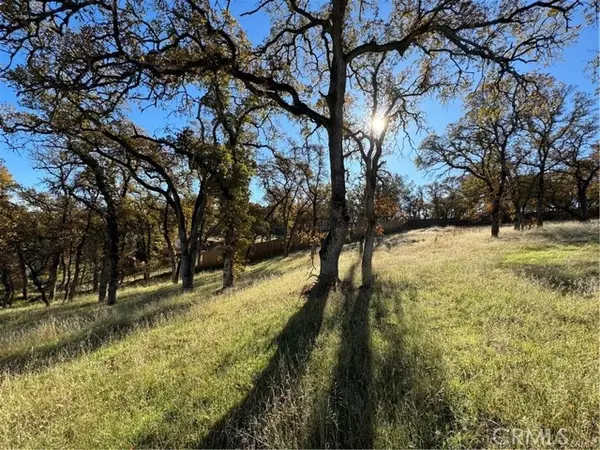 Oroville, CA 95966,43 Alta Mira LN