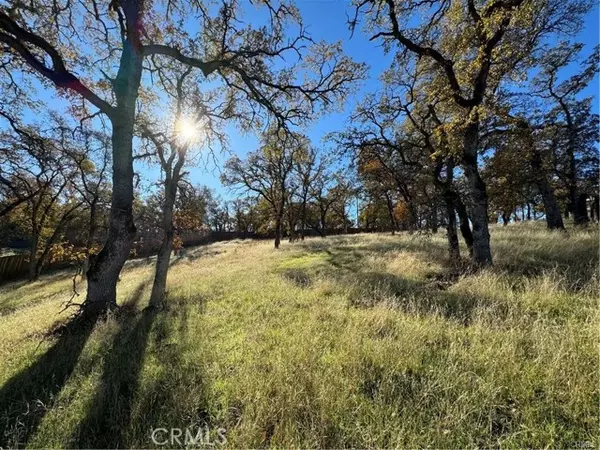 Oroville, CA 95966,43 Alta Mira LN