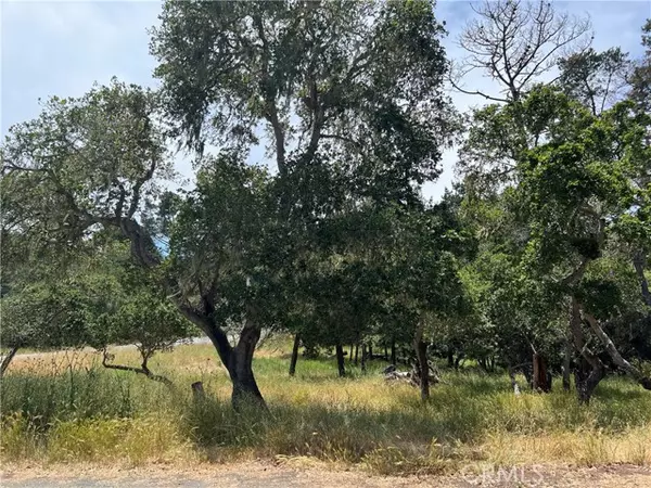 Cambria, CA 93428,0 Trenton AVE