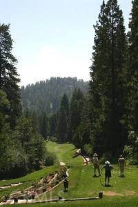 Lake Arrowhead, CA 92391,135 N Fairway DR