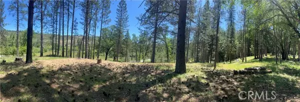 Cobb, CA 95426,15625 Bottle Rock RD